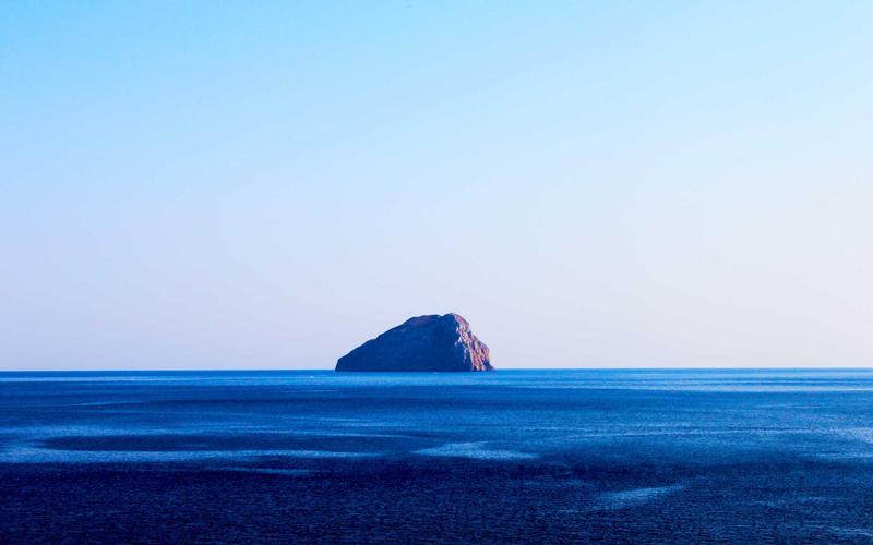 进出口代理服务